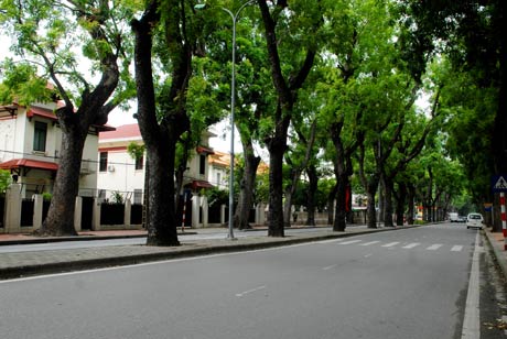 "Không nên đào 'hầm chui' qua đường Hoàng Diệu"